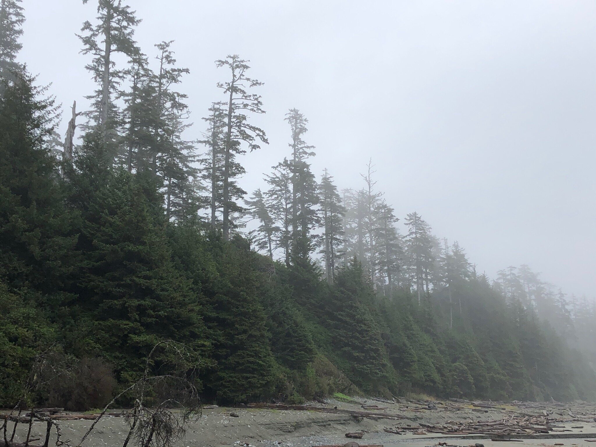 Pacific Rim National Park (Tofino) - All You Need To Know BEFORE You Go