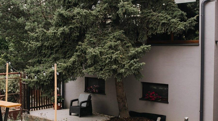 Production cellar and tasting terrace