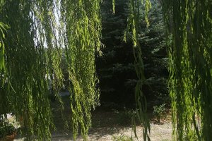 Piscina e spiaggia