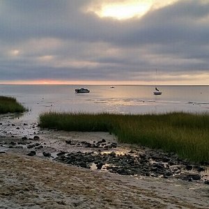 are dogs allowed at long pond beach in brewster ma