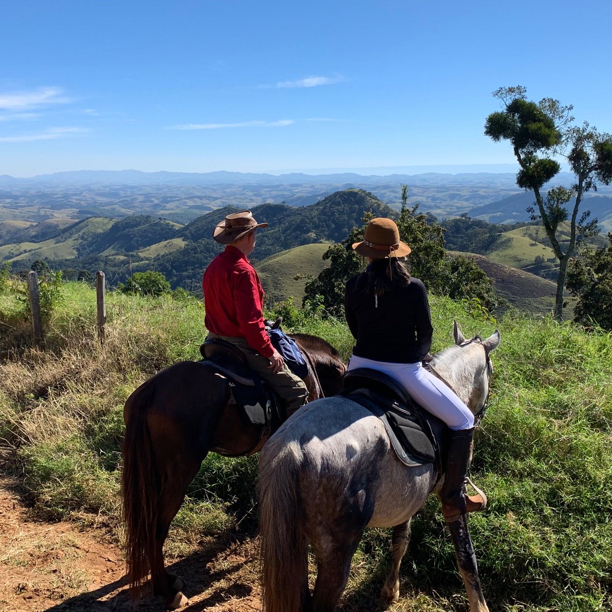 Percurso a cavalo em La Mata 1 hora preço desde 15€ 