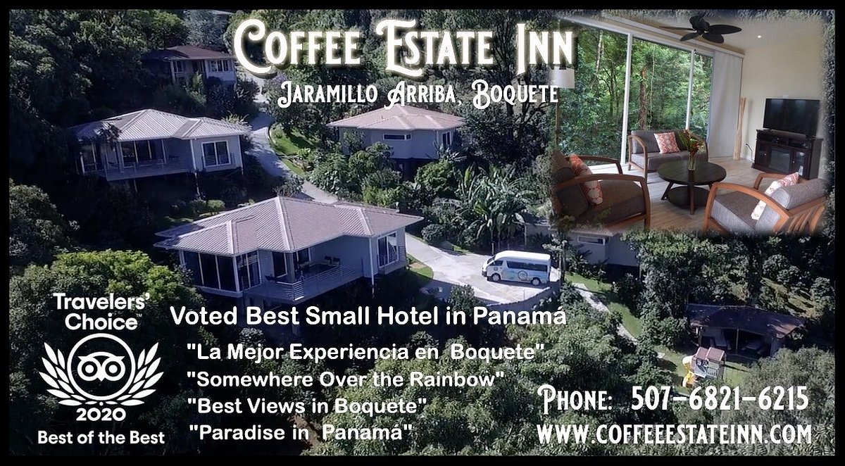 ‪‪Coffee Estate Inn‬, hotel in דויד‬