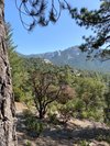 Idyllwild Nature Center - All You Need to Know BEFORE You Go