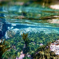 This is the water over top of the rocks and seaweed.