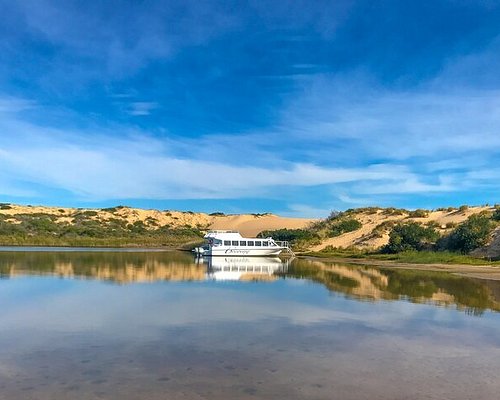 coorong river cruises