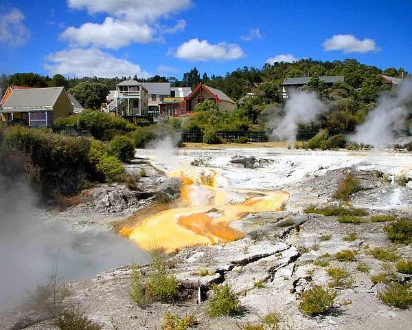 Redwoods Whakarewarewa Forest Rotorua 2023 What To Know Before You Go