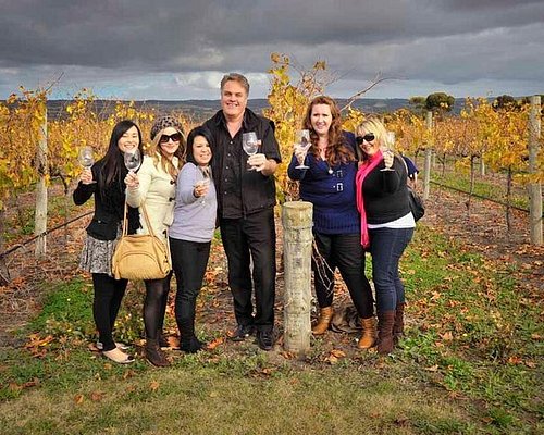 wine tours around adelaide