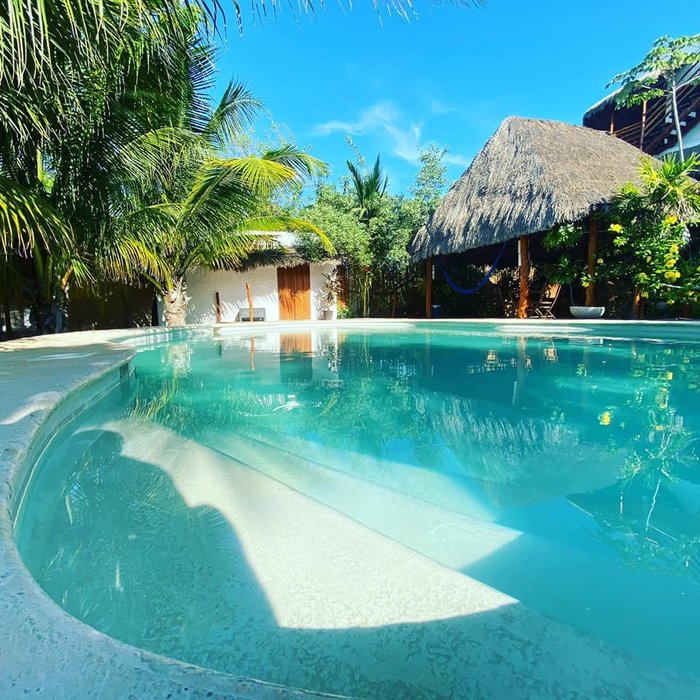 Holbox Deluxe Apartments Pool: Pictures & Reviews - Tripadvisor