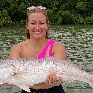 Naples Florida Inshore Fishing Charters - Naples & Marco Island Fishing  Charters