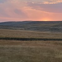 Hayden Valley (Yellowstone National Park) - All You Need to Know BEFORE ...