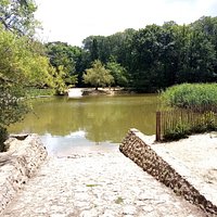 vu sur l'étang