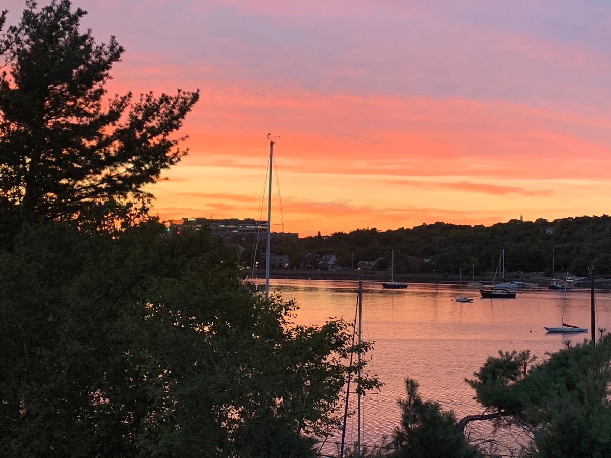 armdale yacht club restaurant