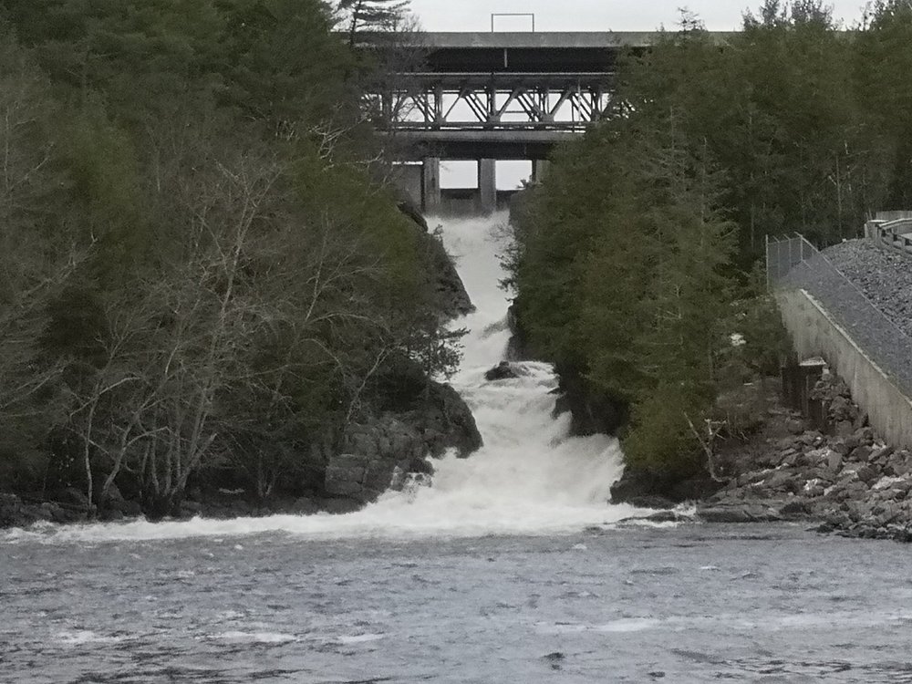 THE 15 BEST Things to Do in Bracebridge (2025)