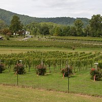 Stonewall Creek Vineyards (Tiger) - All You Need to Know BEFORE You Go