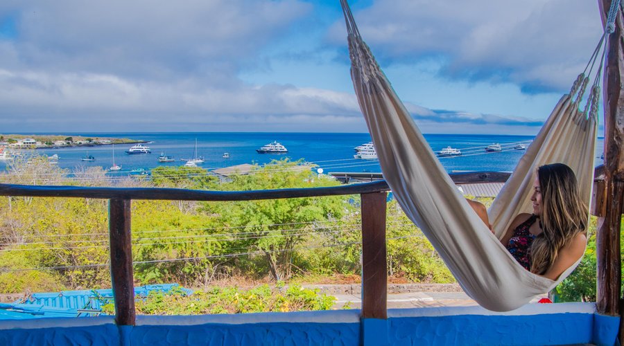 No hace falta ir lejos para sentir la escencia de Galápagos. Desde nuestras habitaciones con vista al mar, disfruta del azul turquesa del mar, las fragatas y piqueros de patas azules volando alrededor mientras escuchas a los lobos marinos jugar en Playa Mann. 
