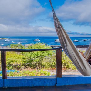 No hace falta ir lejos para sentir la escencia de Galápagos. Desde nuestras habitaciones con vista al mar, disfruta del azul turquesa del mar, las fragatas y piqueros de patas azules volando alrededor mientras escuchas a los lobos marinos jugar en Playa Mann. 