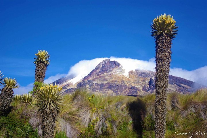 2024 Trekking at Los Nevados National Natural Park (Salento)