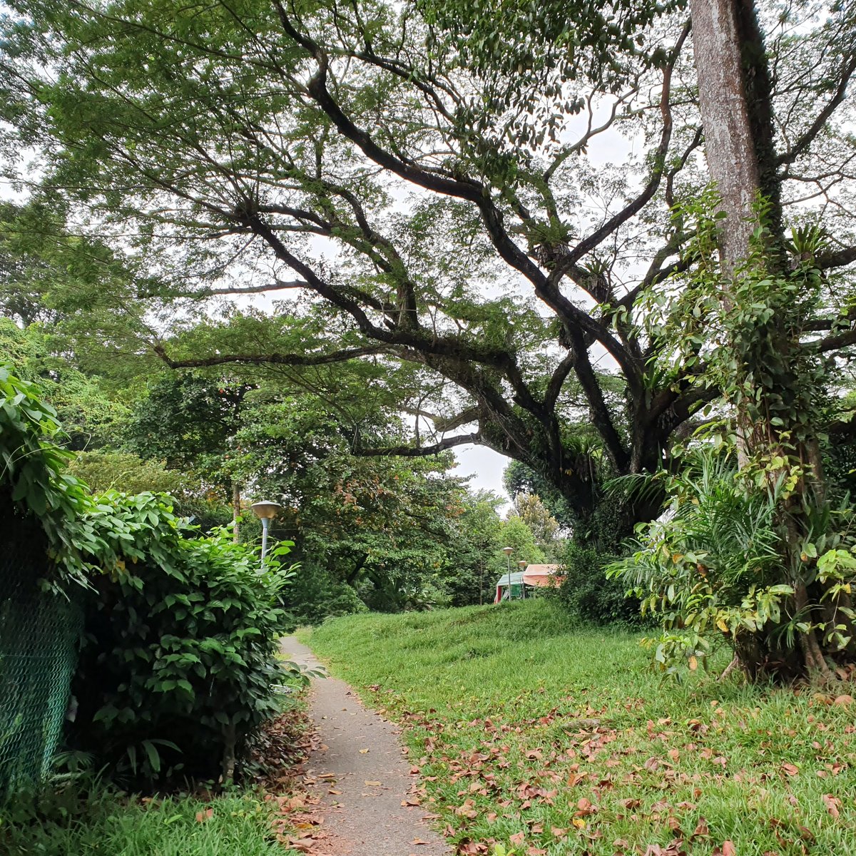 Alexandra Canal Linear Park (Singapore) - All You Need to Know BEFORE ...