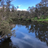 Cantwell Park (Pinjarra): All You Need to Know BEFORE You Go