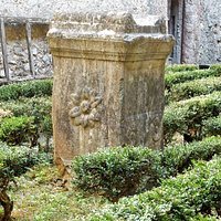 Ceppo nella corte