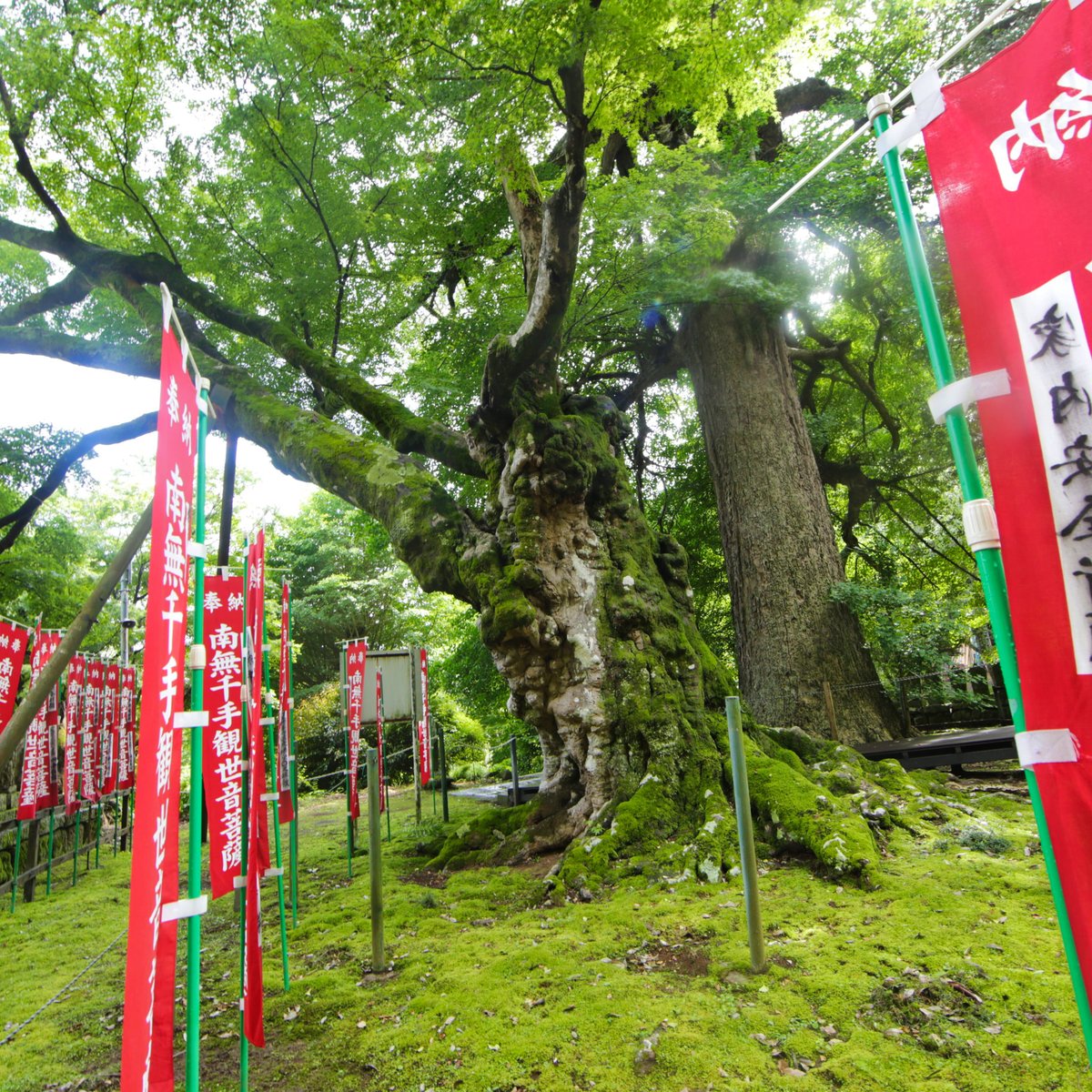 Masuyamadera Temple (Izu) - All You Need to Know BEFORE You Go