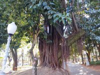 Revitalização do playground do Parque Juca Mulato é entregue