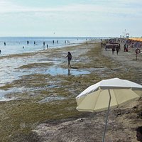 La spiaggia zona Pineta