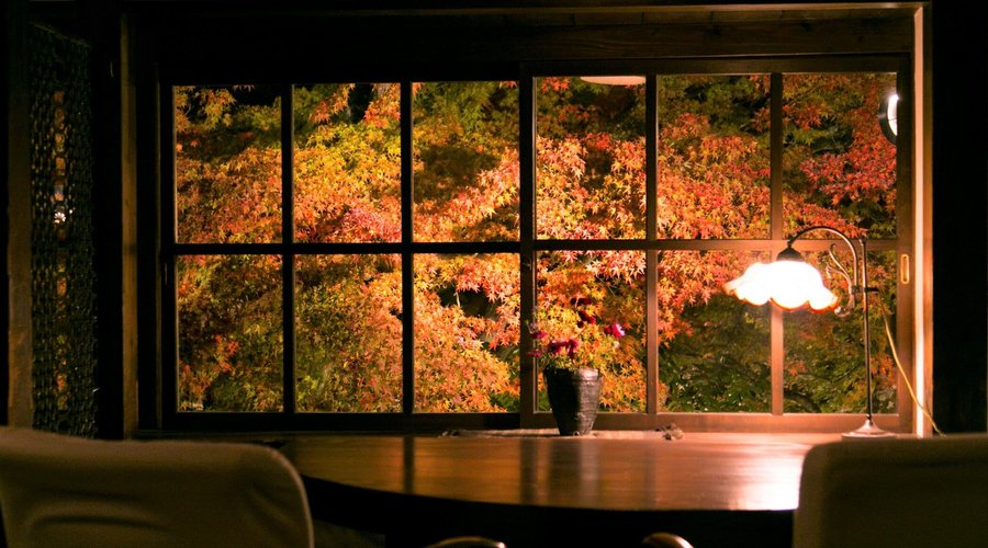 「BAR 山猫」は「茶房 天井棧敷」の夜の姿。夜の庭の風情もお愉しみいただきたく、お席をご用意いたしております。ご利用時間は17時～24時まで。火曜定休です。