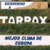 pavoreal