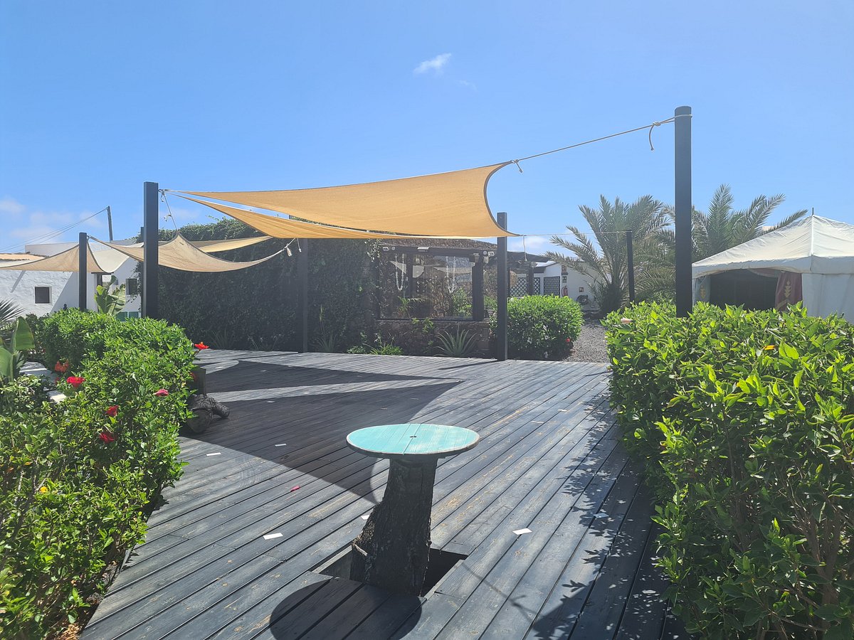 AZULFIT   Updated 20 Specialty Hotel Reviews Fuerteventura ...