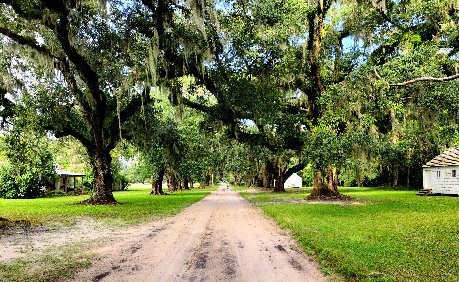 MANSFIELD PLANTATION - B&B Reviews (Georgetown, SC)