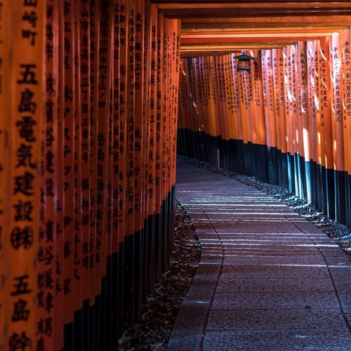 THE 10 BEST Things to Do for Honeymoon in Kyoto (Updated 2023)