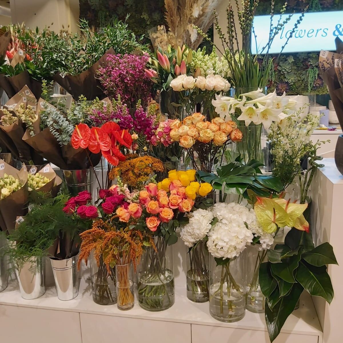 Flowers & Plants Co. (London): All You Need to Know