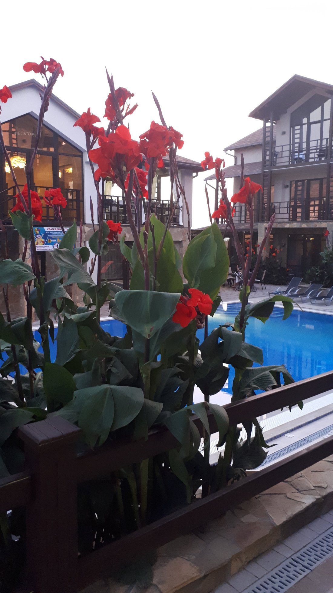 HOTEL ASSOL (Судак) - отзывы и фото - Tripadvisor