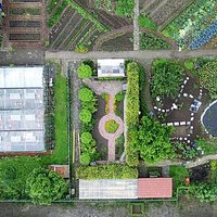 Wereldtuin Verdeliet is een ecologische voedsel - en ontmoetingstuin in de kleurrijke Cuijkse wijk De Valuwe. Een plek waar mens en natuur elkaar vinden.