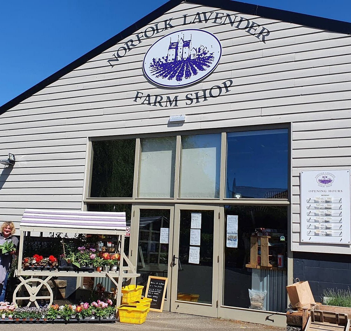 Norfolk Lavender Farm Shop Heacham All You Need To Know Before You Go