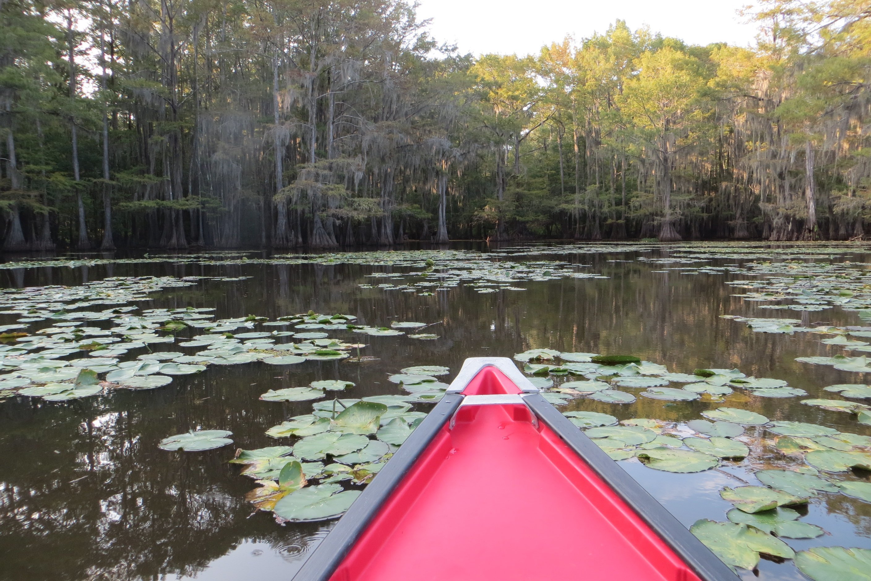 Caddo Lake State Park (Karnack) - All You Need To Know BEFORE You Go