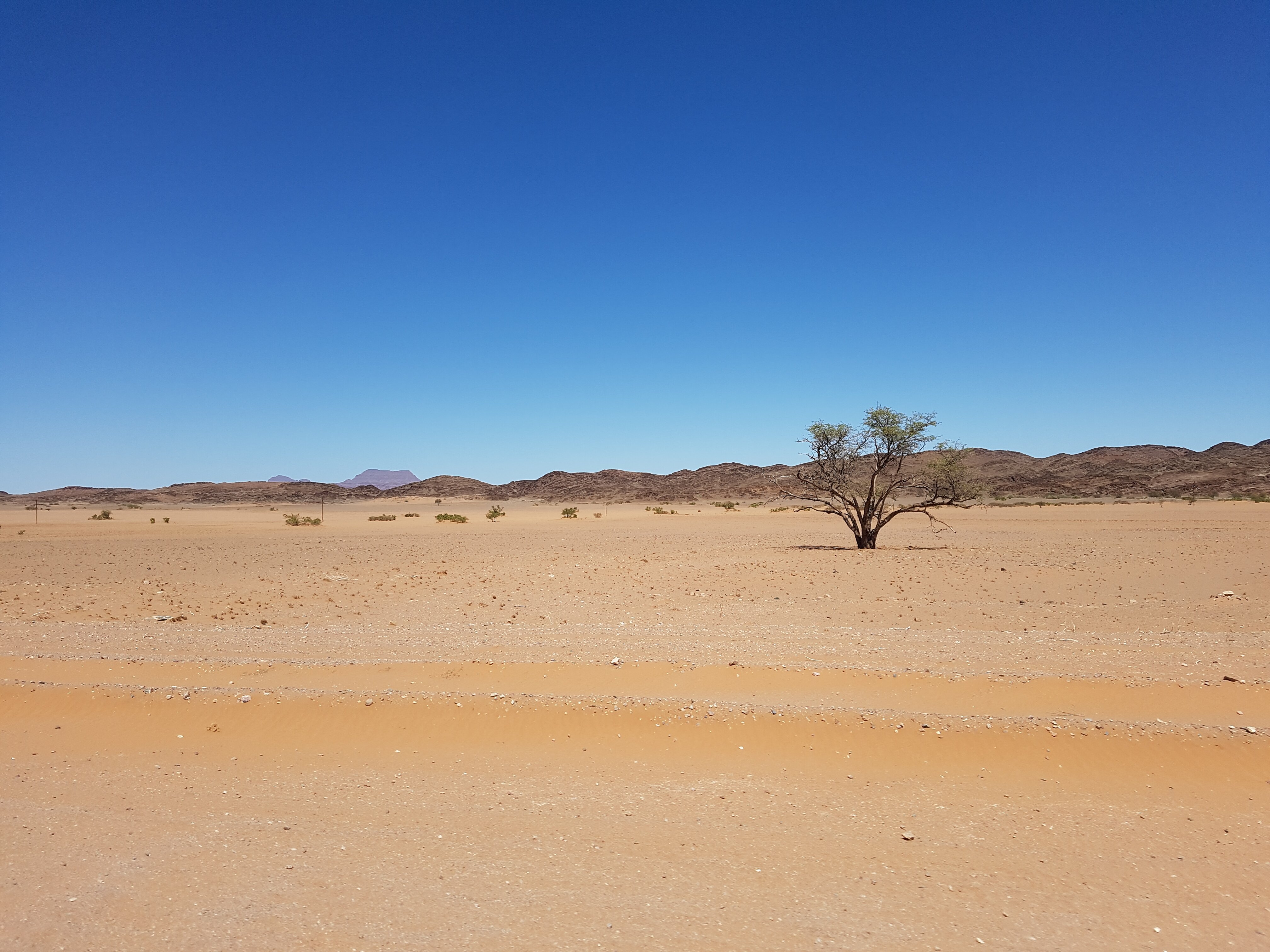 THE 15 BEST Things To Do In Namibia 2024 With Photos Tripadvisor   Namib Desert 