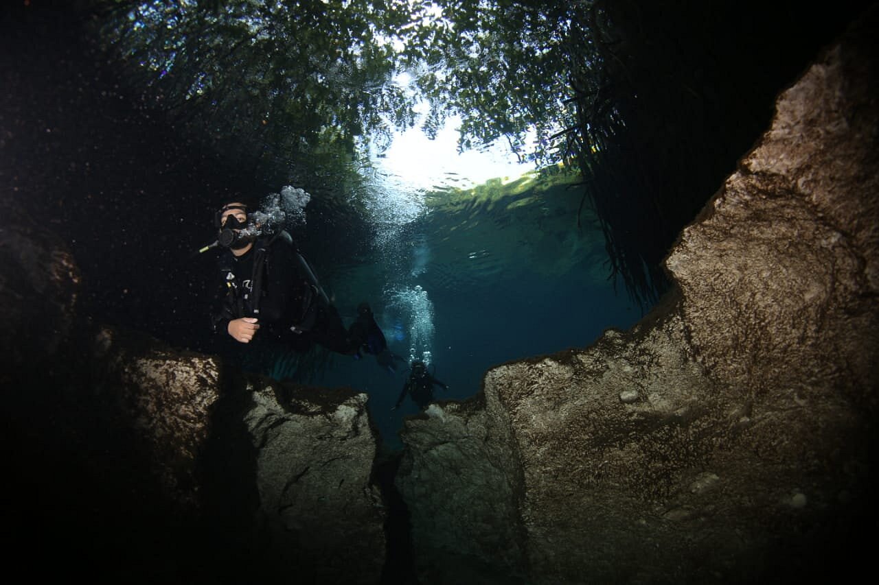 koox diving tulum