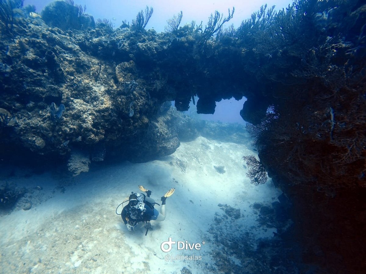 Koox diving playa del carmen sapphire & dreams riviera cancun