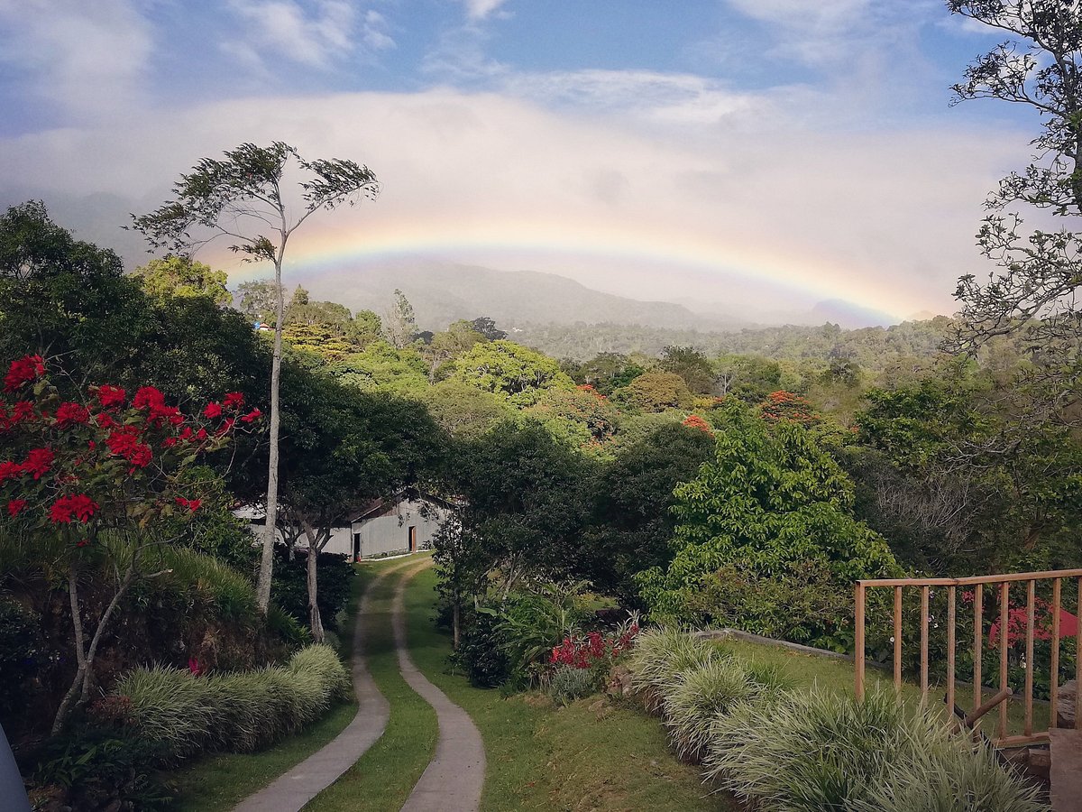 Boquete Coffee Tour - All You Need to Know BEFORE You Go (2024)