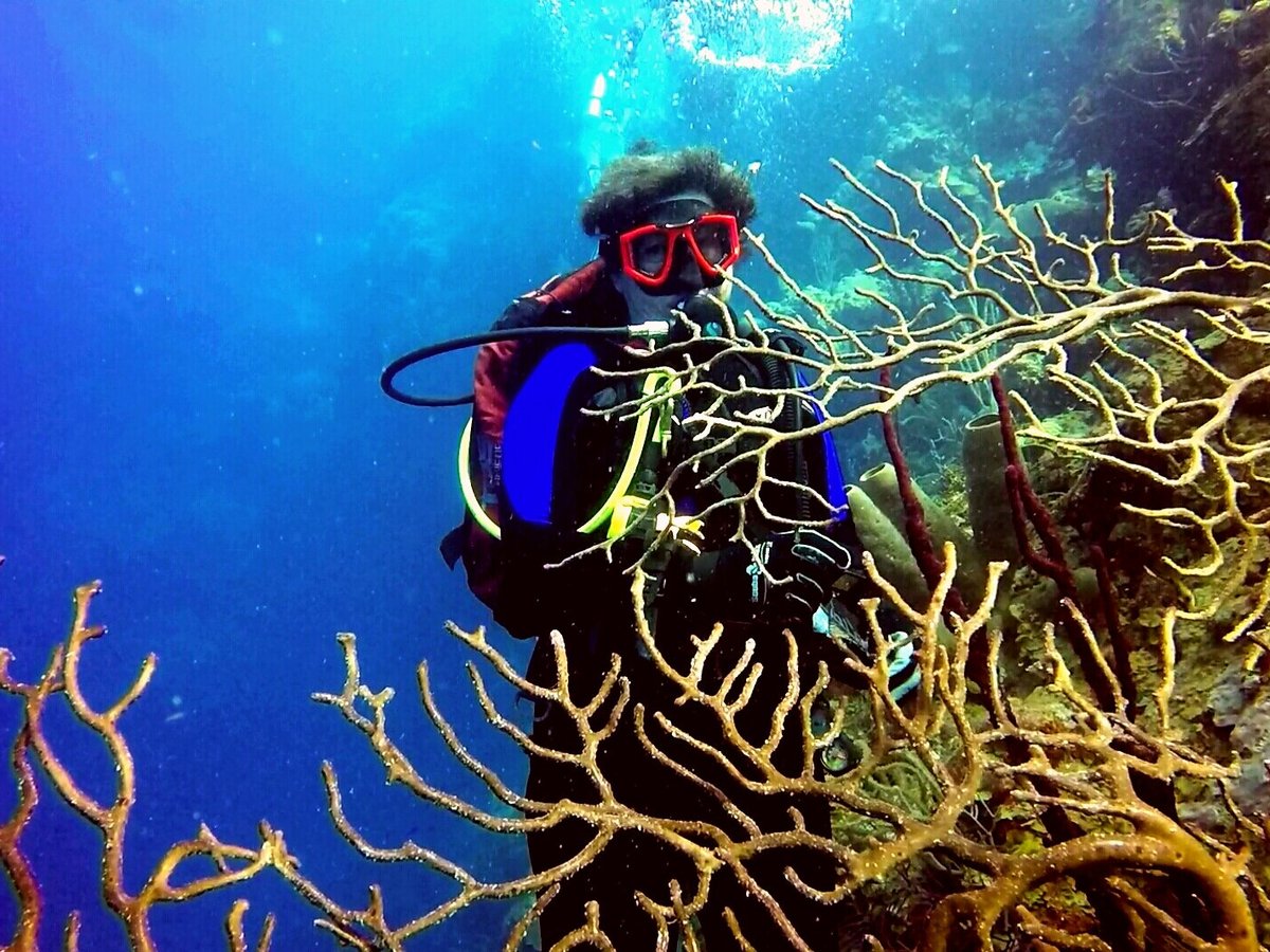 always diving cancun