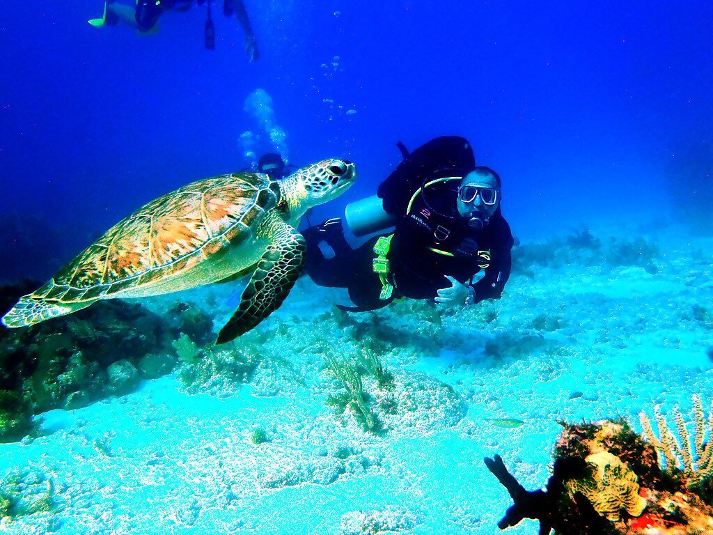 always diving cancun