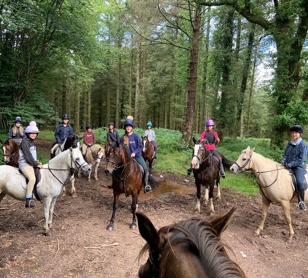 PINE LODGE RIDING HOLIDAYS (Dulverton) - All You Need to Know BEFORE You Go