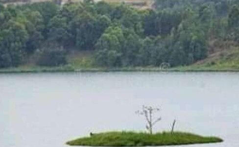 Punishment island on lake bunyonyi southwestern Uganda stands as an icon attraction dating back from years,where unmarriade pregnant bakiga ladies|girls would be left to starve.Forcunately  would be saved by poor men from batwa tribe and hence live.#visit Uganda encounter with some servivers around the lake for your memorable experience #UgandaOpenForTourismNow 