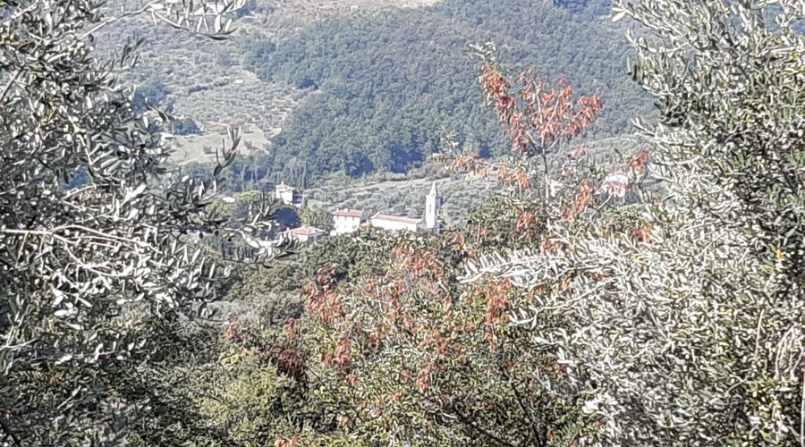 il Santuario di Valdibrana visto dalla via di Germinaia