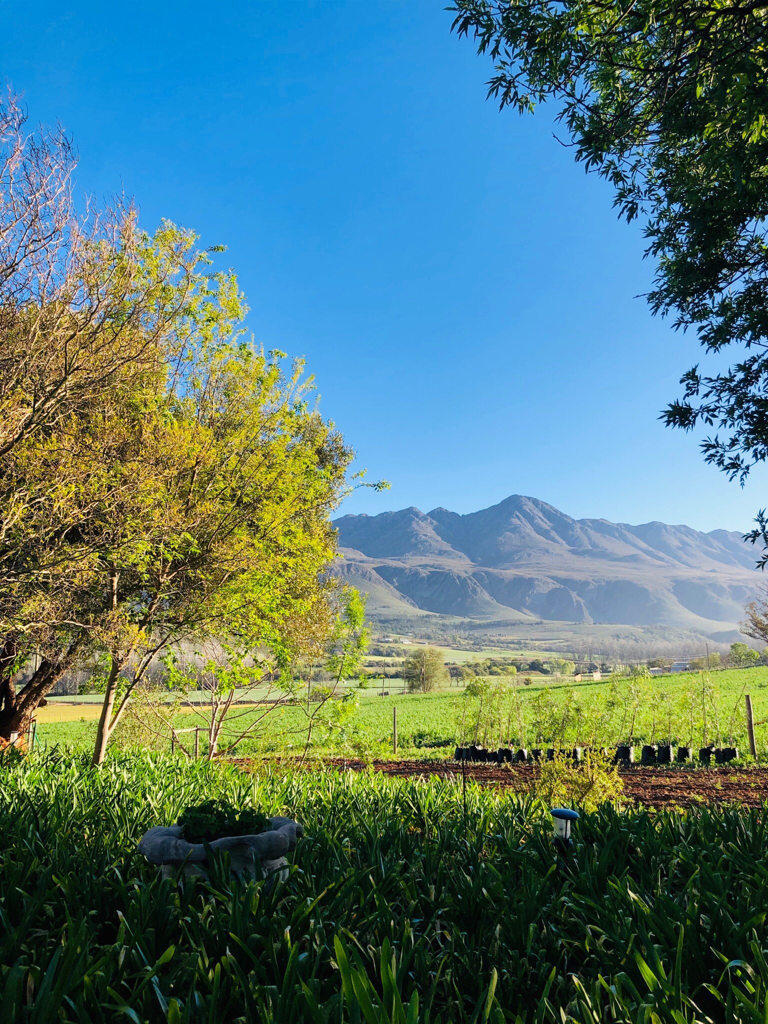 BLUE LILY RETREAT (Matjiesrivier, Sudáfrica): Opiniones Y Precios