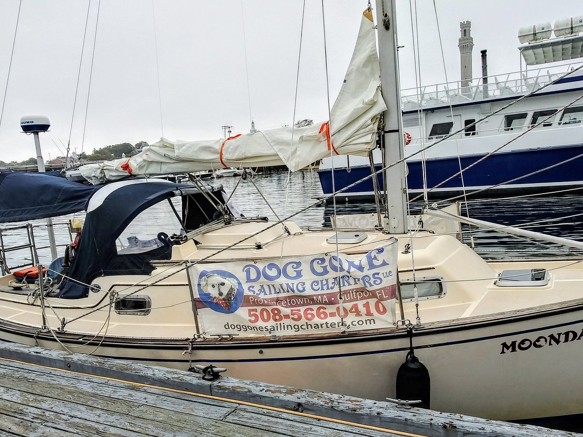 Mailbag: Dog is my co-pilot — Gig Harbor Boat Works