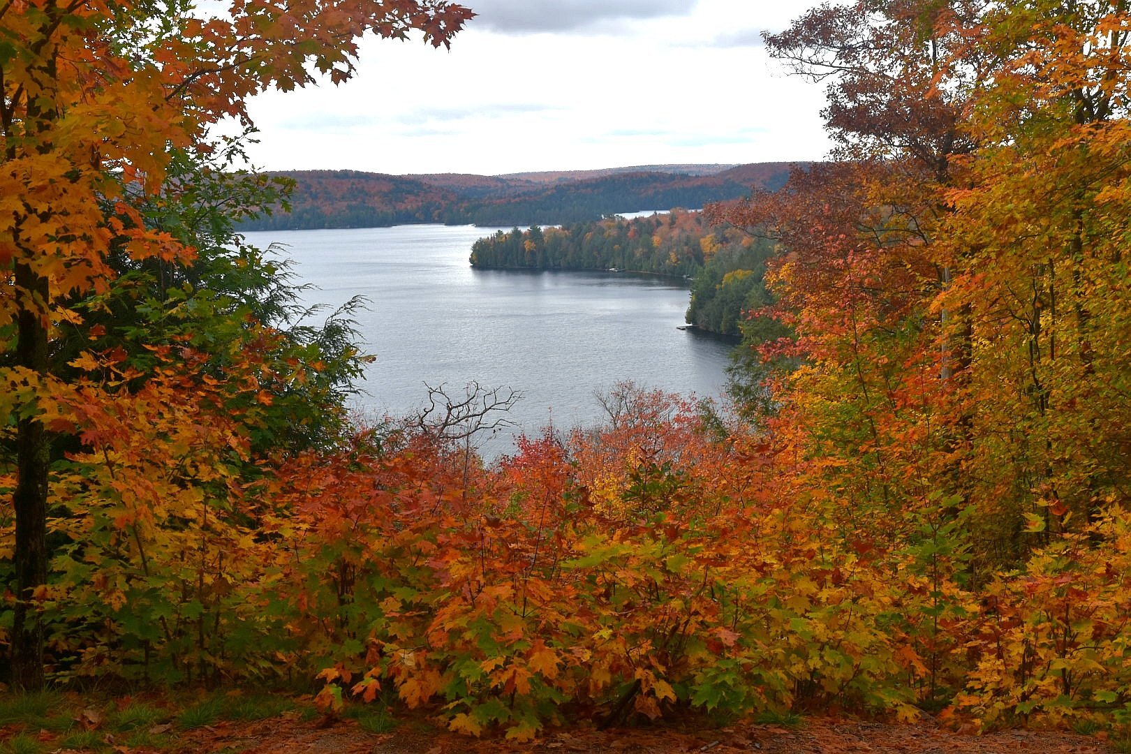Hardwood Lookout Trail All You Need to Know BEFORE You Go 2024
