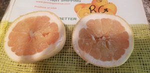 Florida Citrus Center And Souvenir World Santo Agostinho Atualizado 2021 O Que Saber Antes De Ir Sobre O Que As Pessoas Estao Falando Tripadvisor